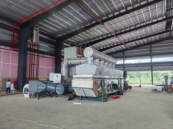 Vibration fluidized bed dryer